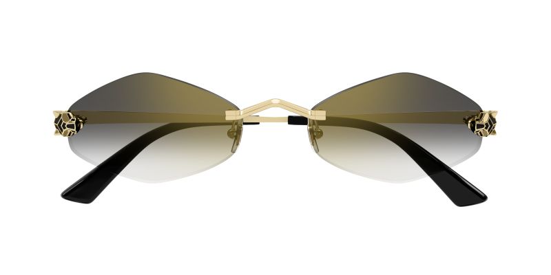 Lunettes de soleil Cartier CT0433S vues de face