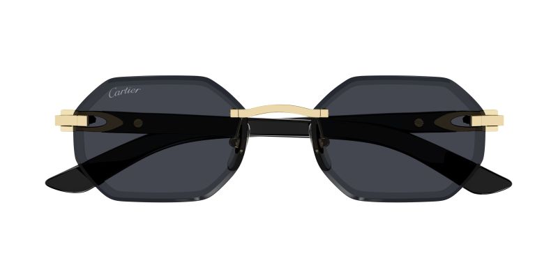Lunettes de soleil Cartier CT0439S vues de face