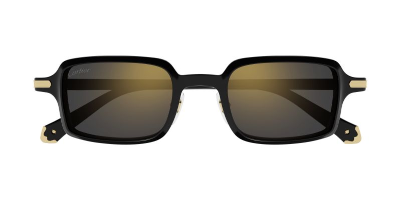 Lunettes de soleil Cartier CT0539S vues de face