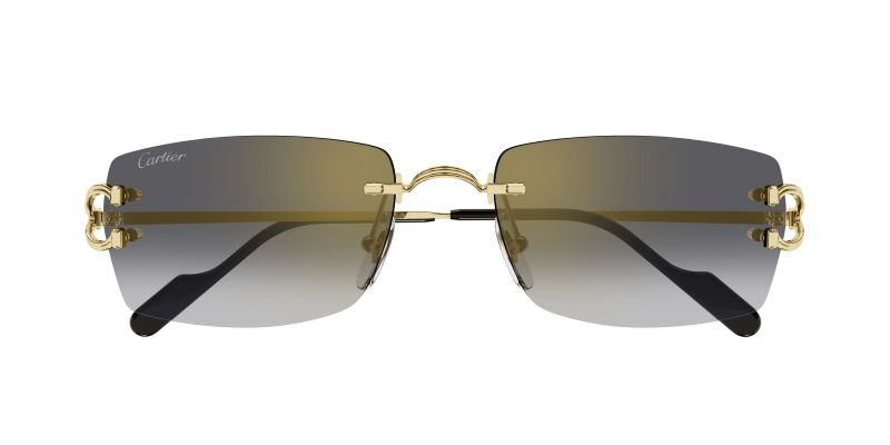 Lunettes de soleil Cartier CT0550S vues de face
