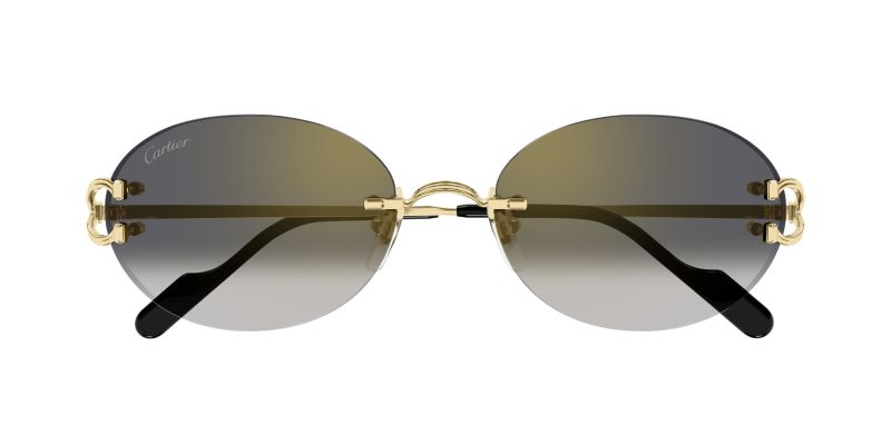 Lunettes de soleil Cartier CT0551S vues de face