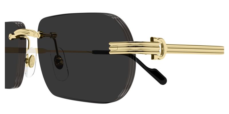 Détail de la charnière des lunettes de soleil Cartier CT0577S