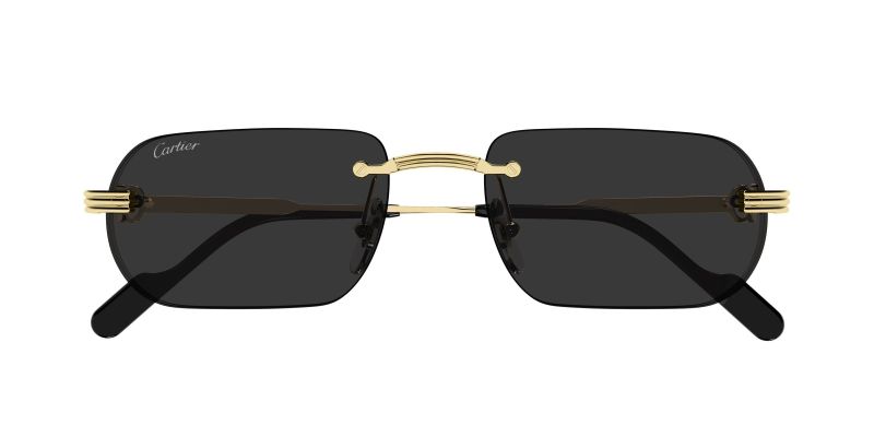 Lunettes de soleil Cartier CT0577S vues de face