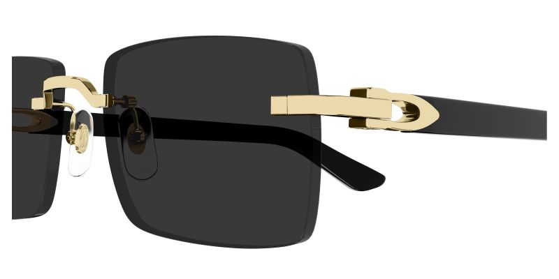 Détail de la charnière des lunettes de soleil Cartier CT0579S