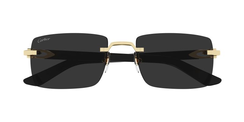 Lunettes de soleil Cartier CT0579S vues de face