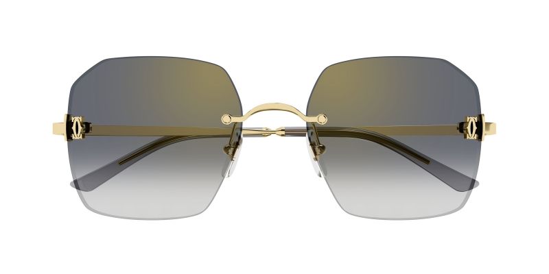 Lunettes de soleil Cartier CT0591S vues de face