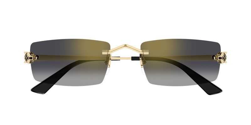 Lunettes de soleil Cartier CT0598S vues de face